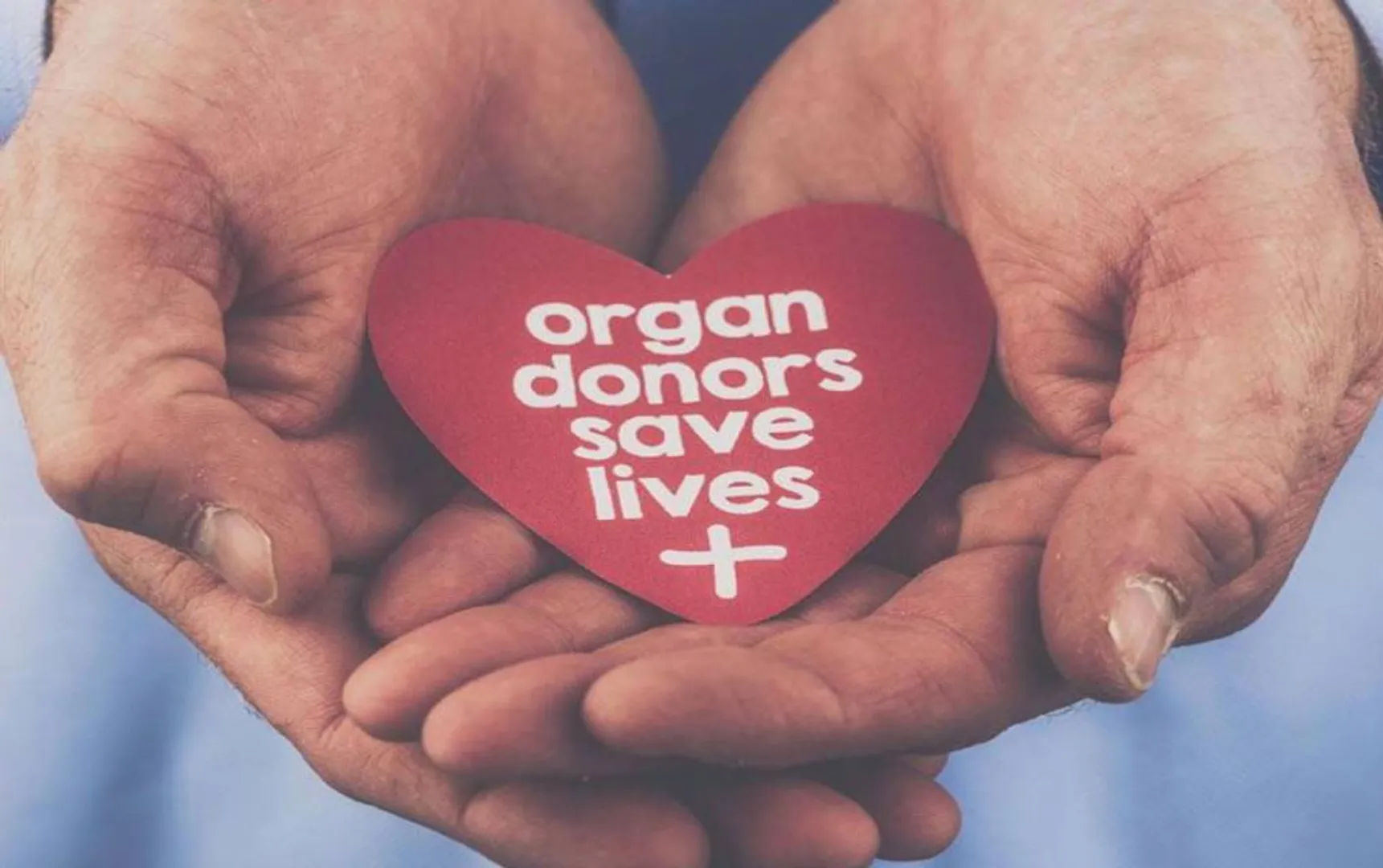 organ donation